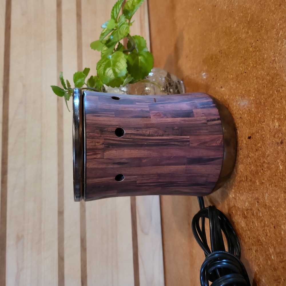 Scentsy Warmer